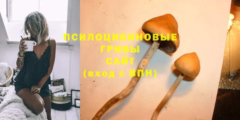 Псилоцибиновые грибы MAGIC MUSHROOMS  Старая Купавна 